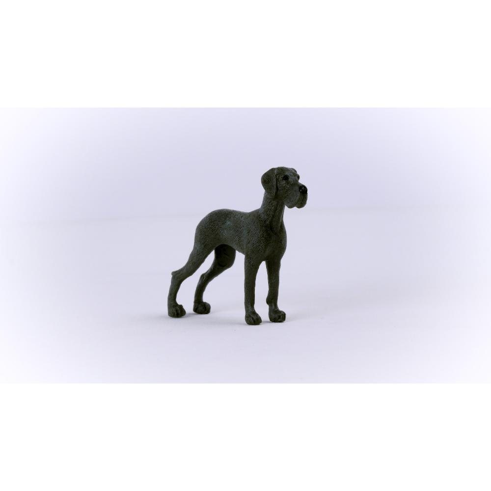 Great Dane