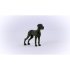 Great Dane