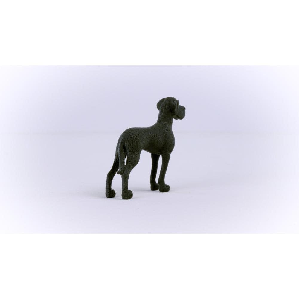 Great Dane