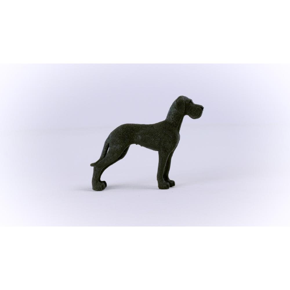 Great Dane