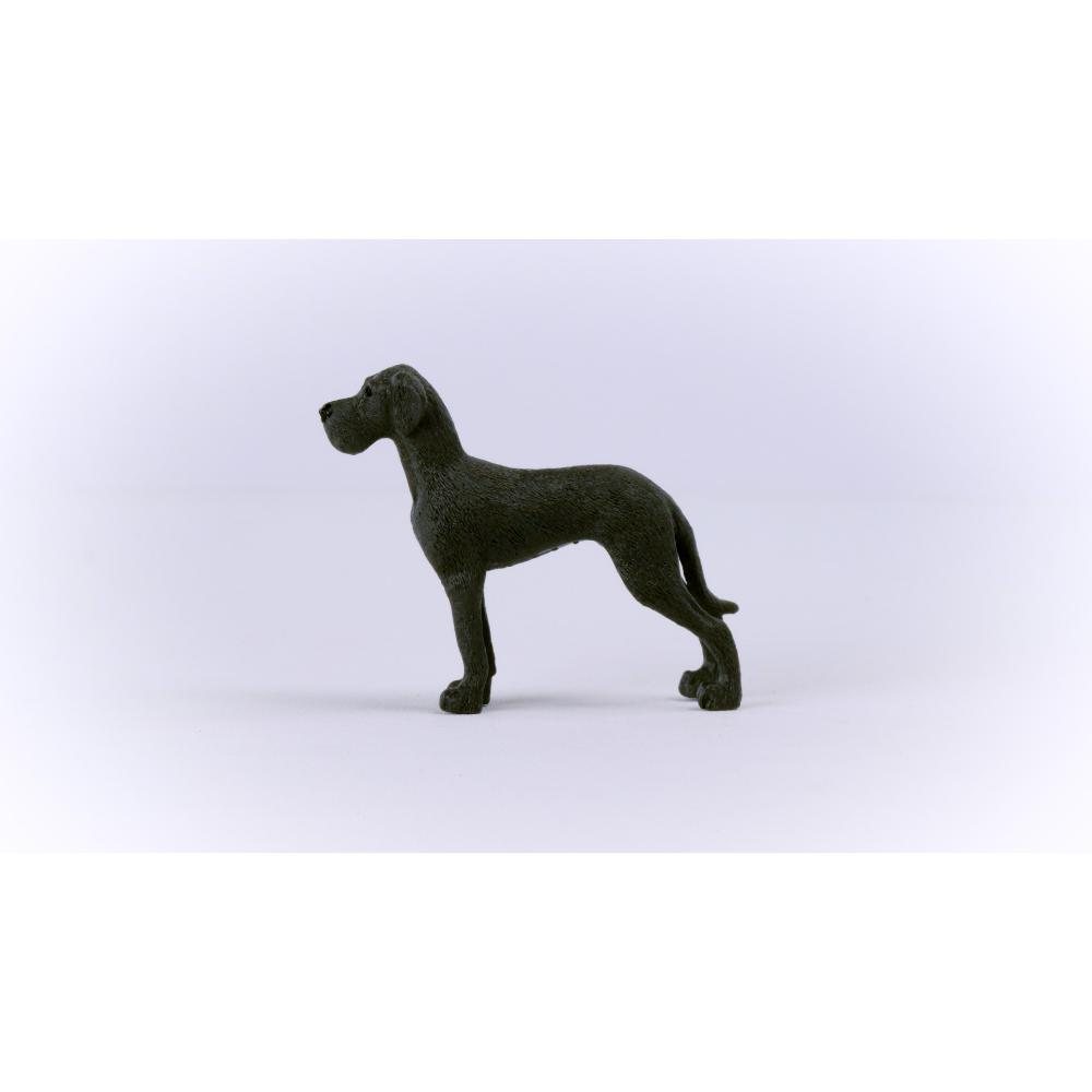 Great Dane