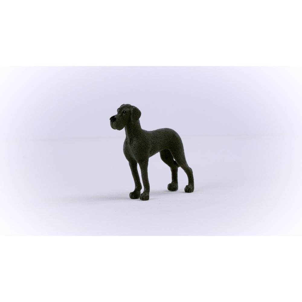 Great Dane