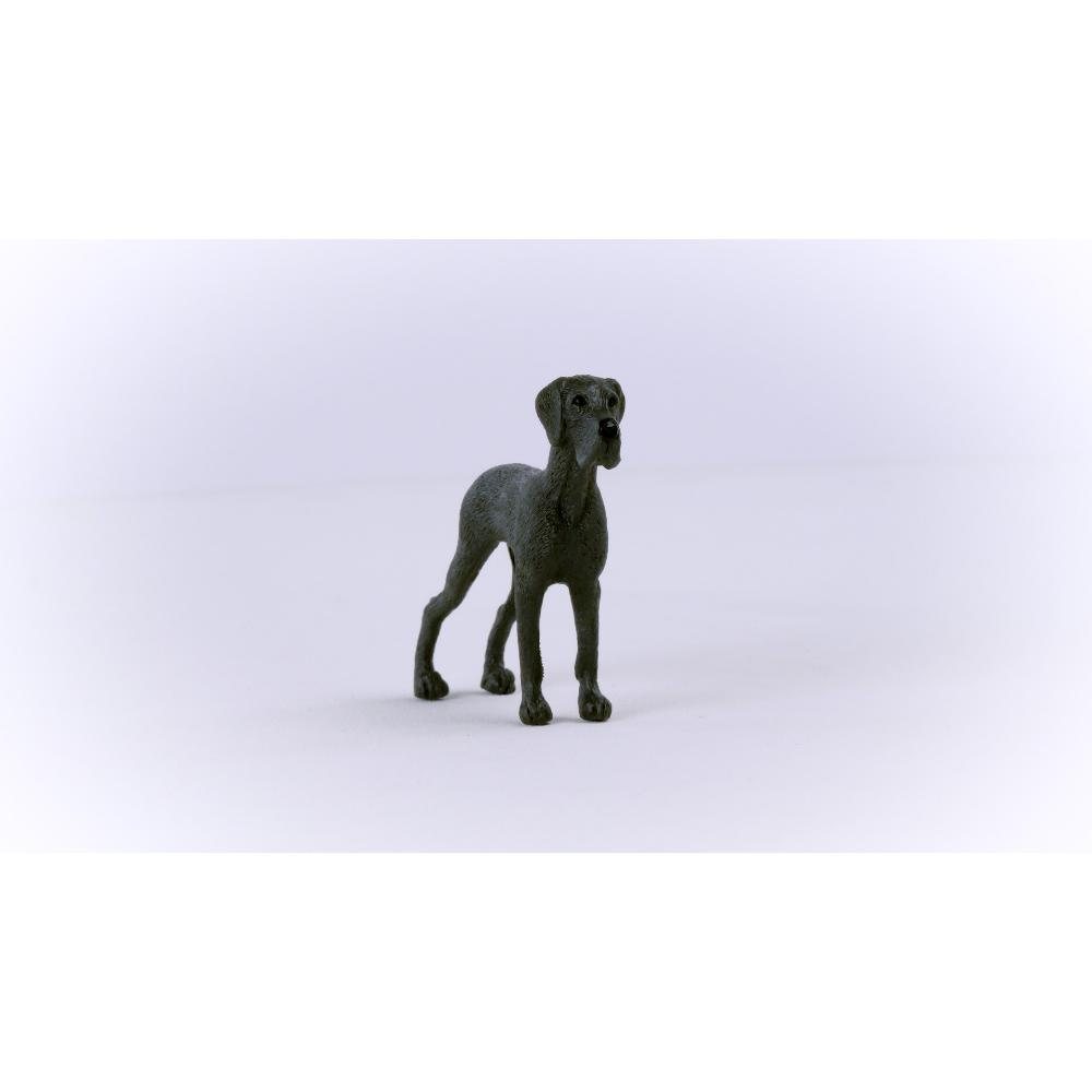 Great Dane