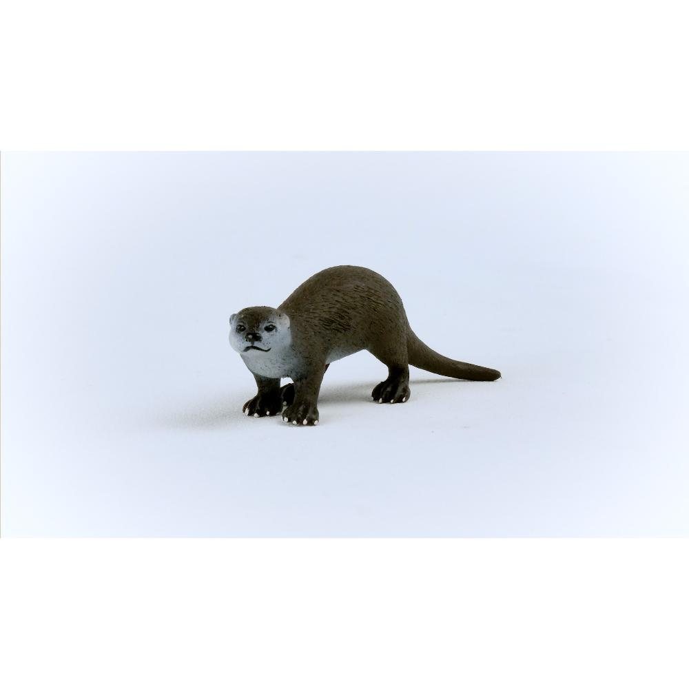 Otter