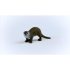 Otter