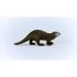 Otter
