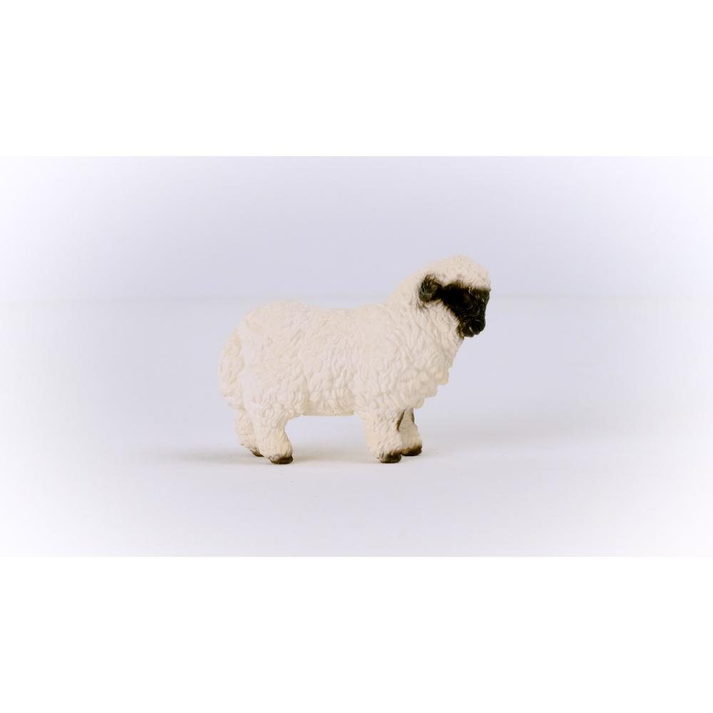 Blacknose Sheep