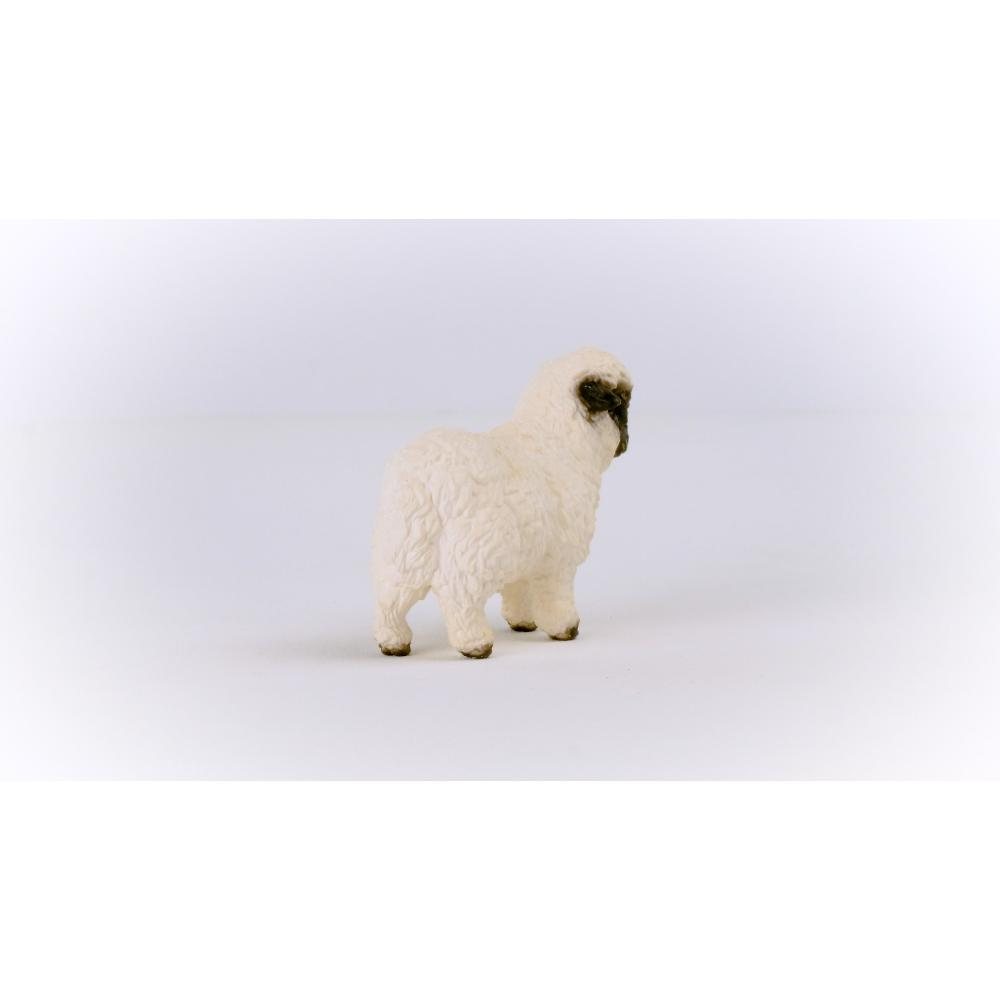Blacknose Sheep