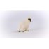 Blacknose Sheep