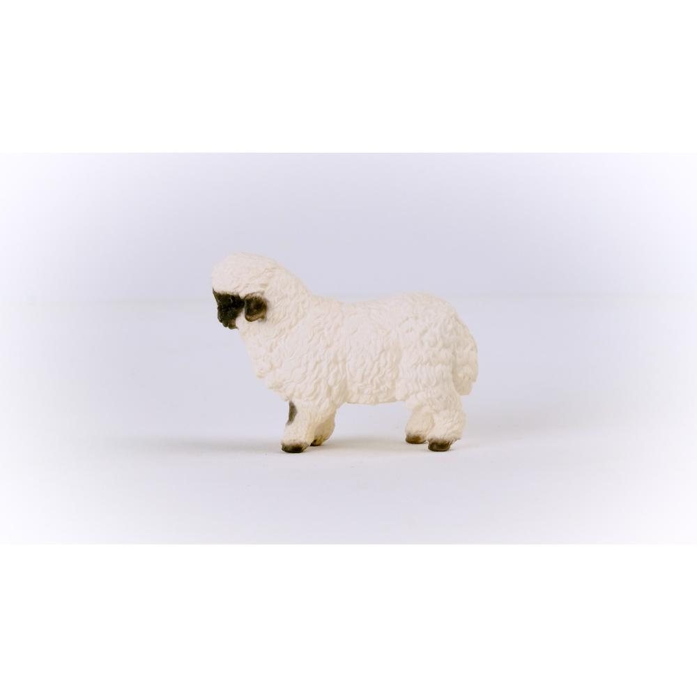 Blacknose Sheep