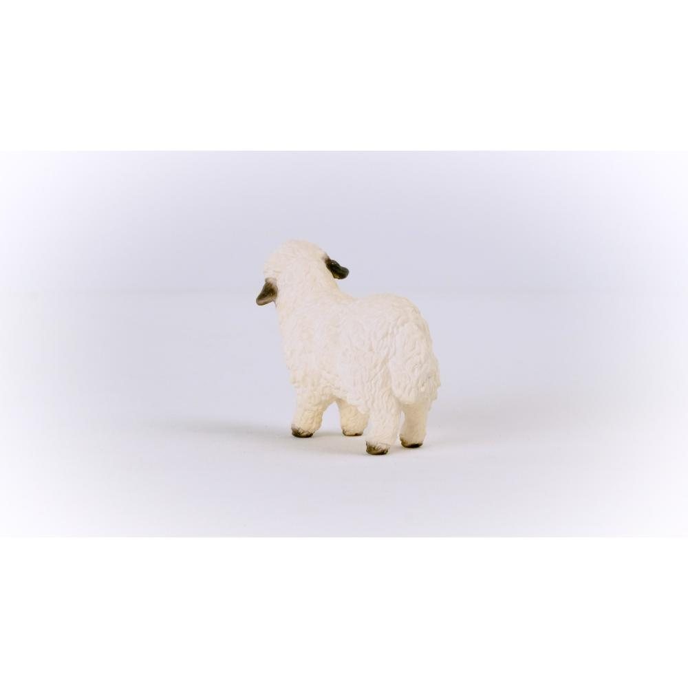 Blacknose Sheep