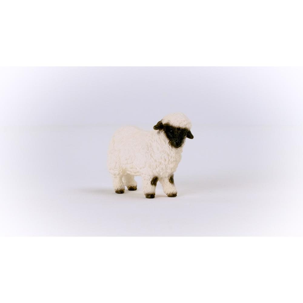Blacknose Sheep