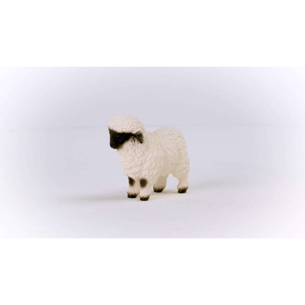 Blacknose Sheep