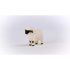 Blacknose Sheep
