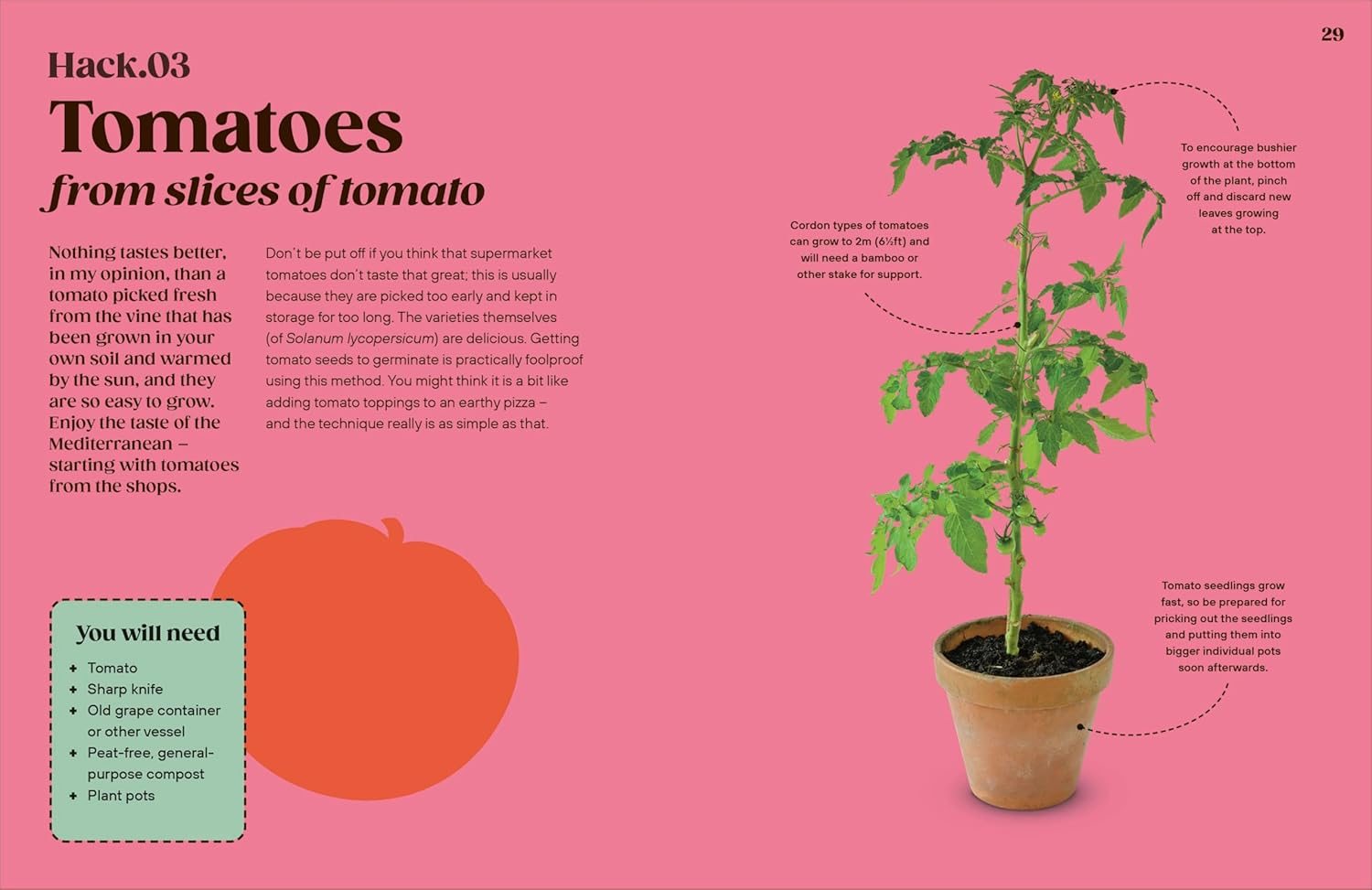 Grow Your Groceries