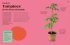 Grow Your Groceries