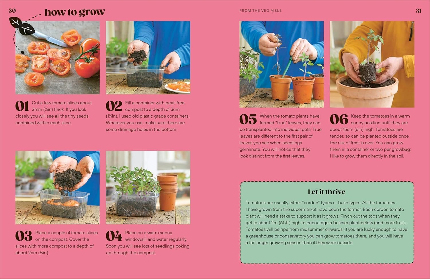 Grow Your Groceries