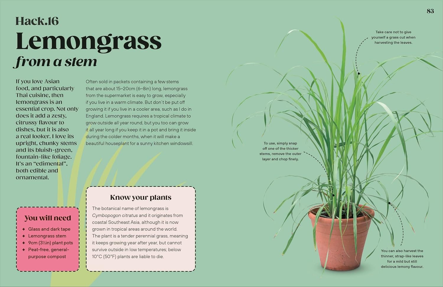Grow Your Groceries