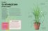 Grow Your Groceries