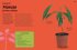 Grow Your Groceries