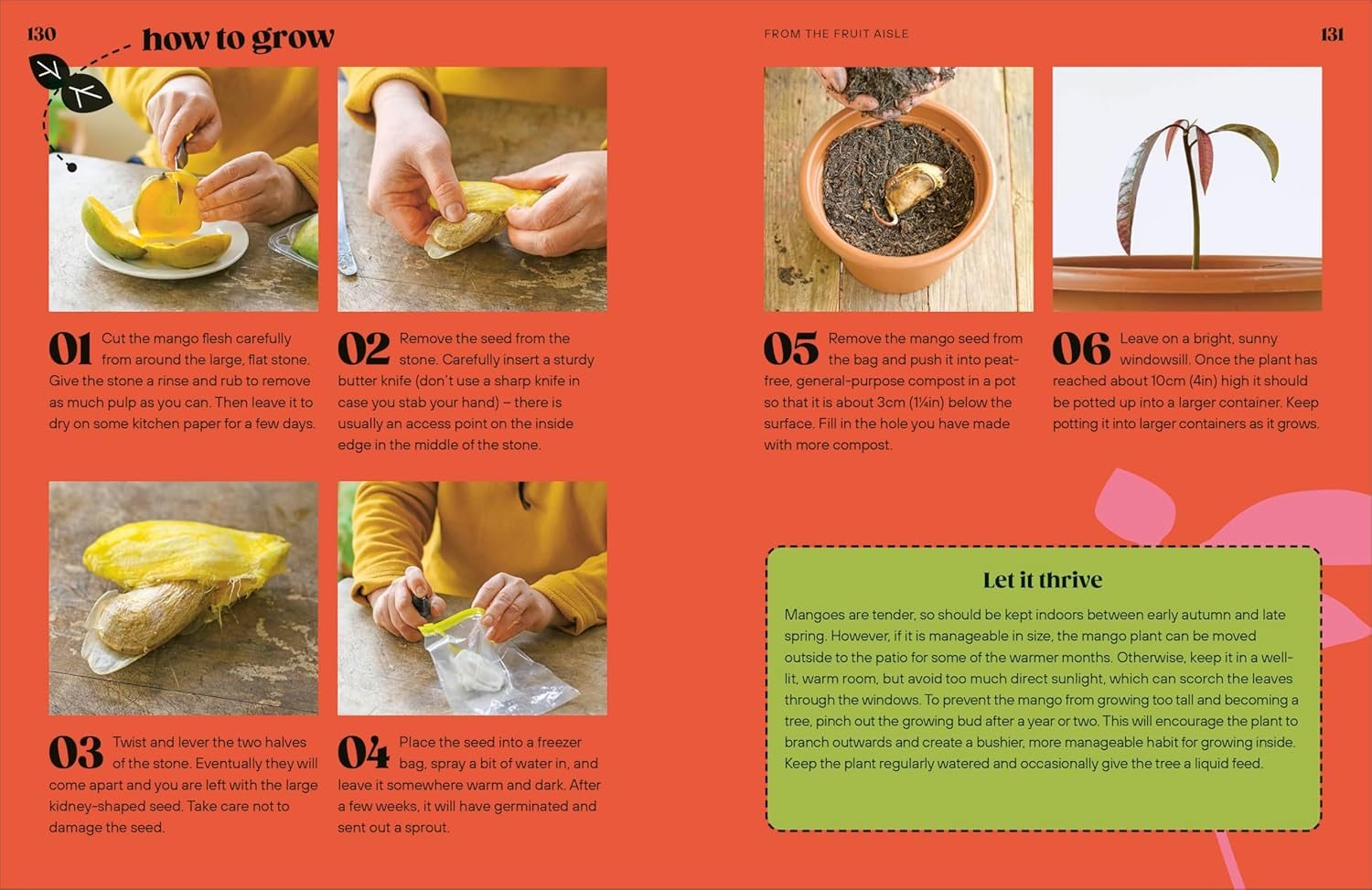 Grow Your Groceries