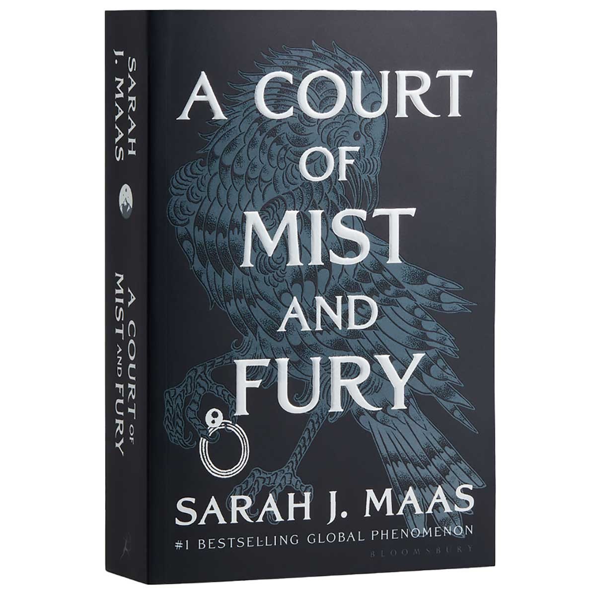 洋書 SARAH J MASS ACOTAR ACOMAF ACOWAR ACOTAR and ACOMAF by Sarah J Maas - To Read or Not to Read | The