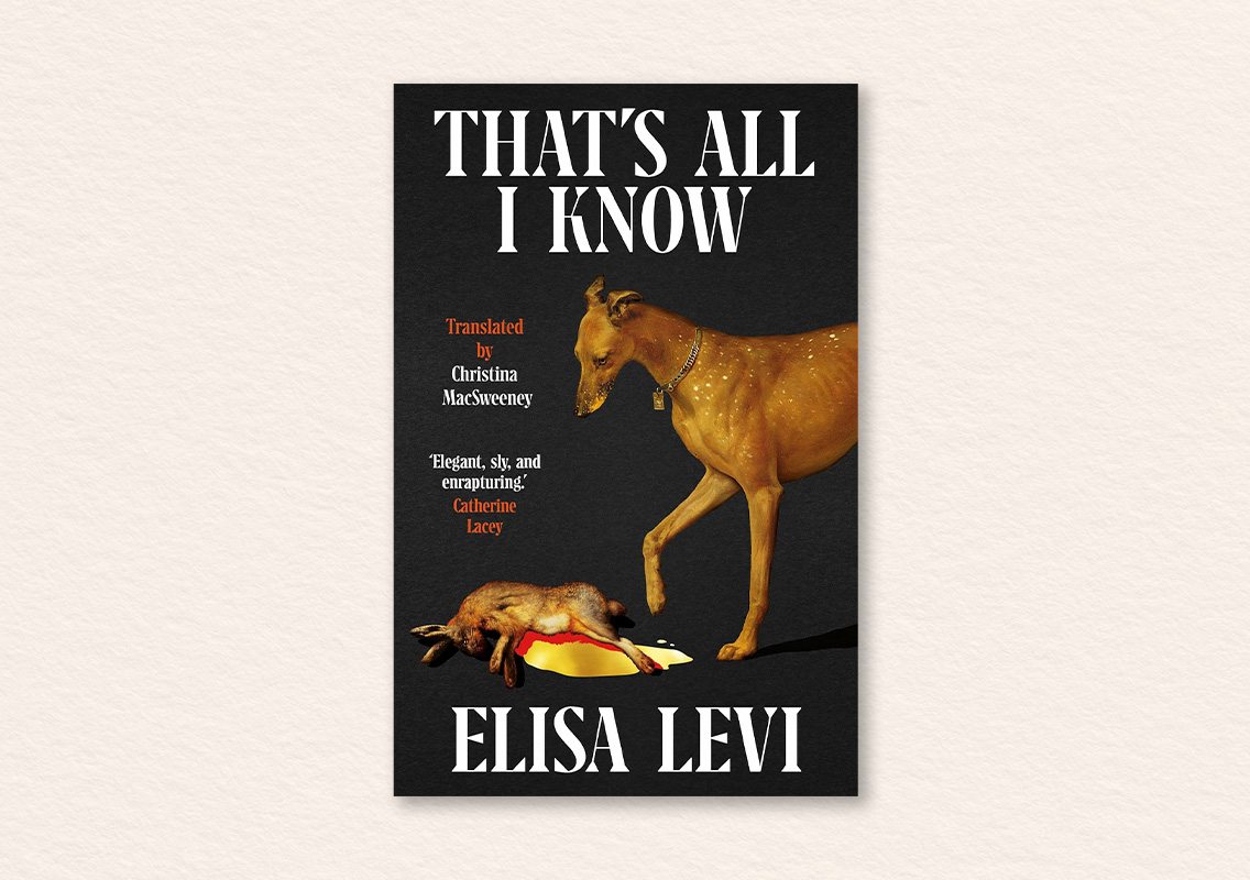 That's All I Know by Elisa Levi (author), Christina MacSweeney (translator)