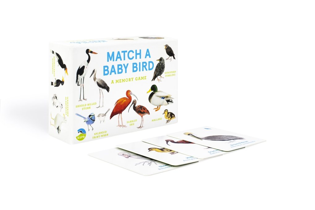 Match a Baby Bird
