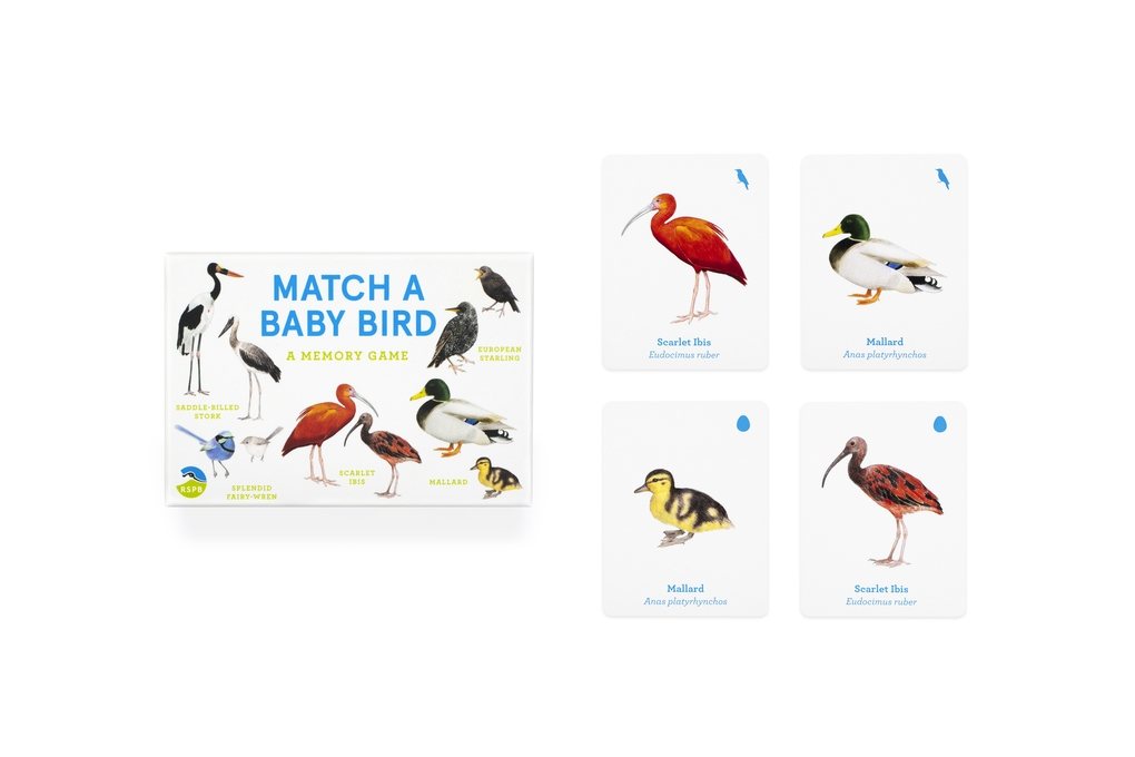 Match a Baby Bird