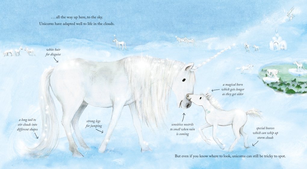 A Believer's Guide to Unicorns