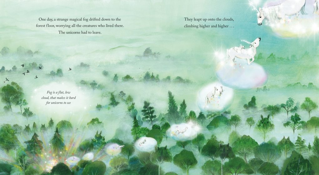A Believer's Guide to Unicorns