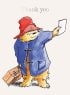 Paddington Bear 8 Thank You Cards
