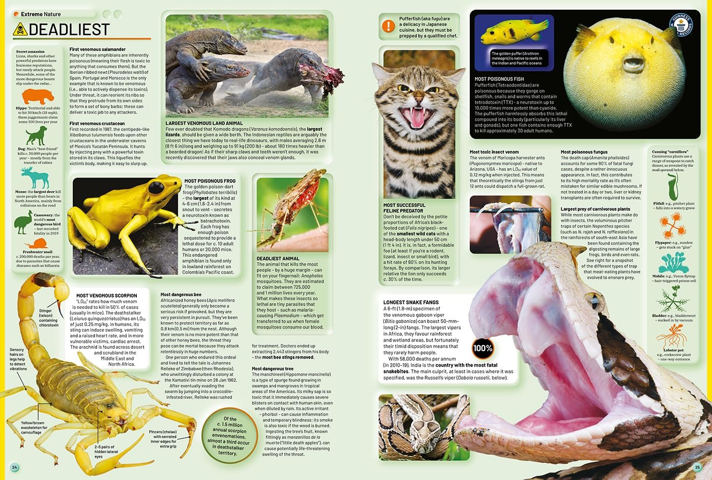 Guinness World Records 2026 Foyles