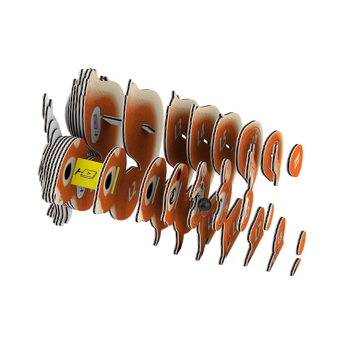 Eugy Squirrel