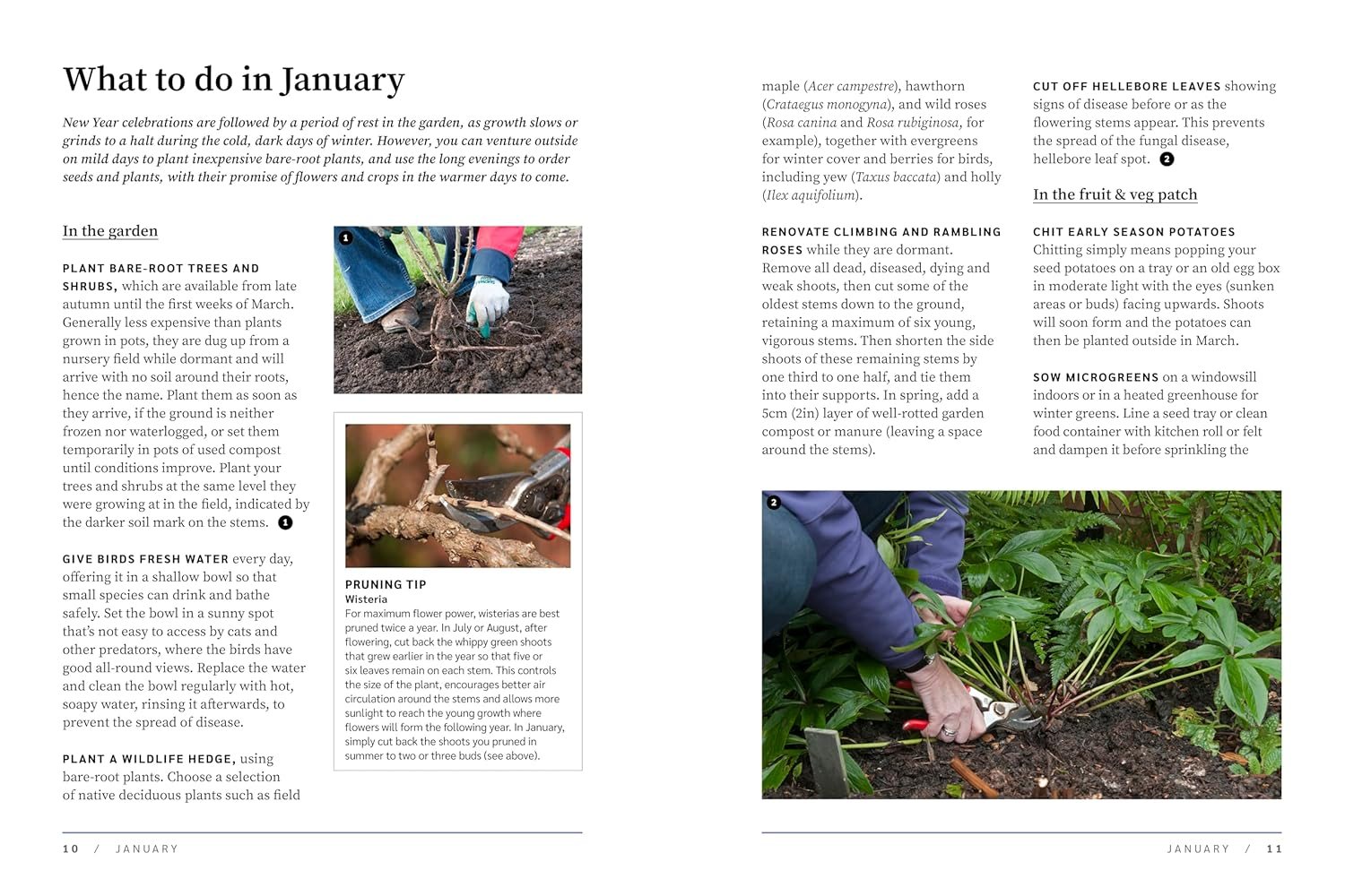 RHS The Garden Almanac 2026