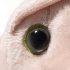 Dobby Plush
