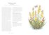 A Wildflower Year