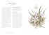 A Wildflower Year