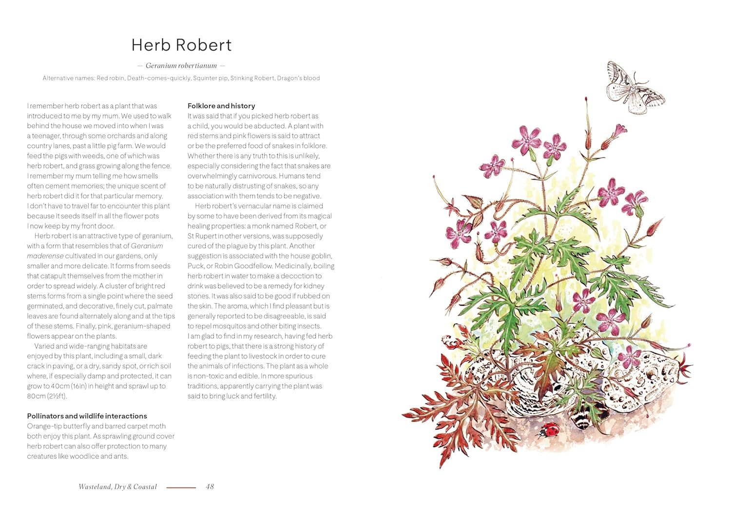 A Wildflower Year