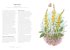 A Wildflower Year