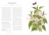 A Wildflower Year