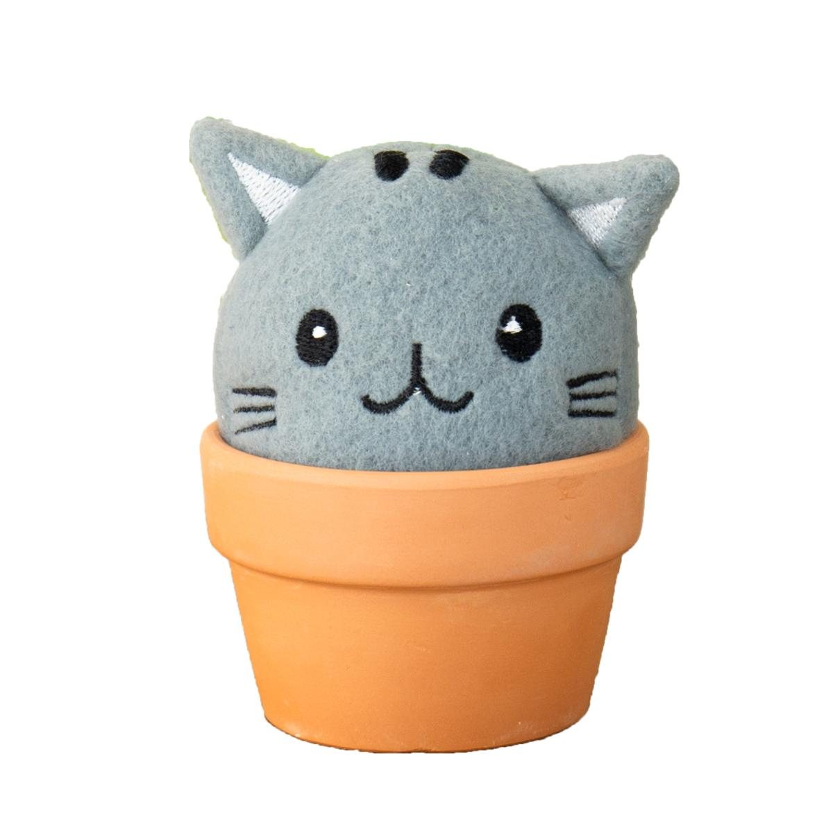 Cat Grow Kit