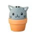 Cat Grow Kit