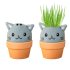 Cat Grow Kit