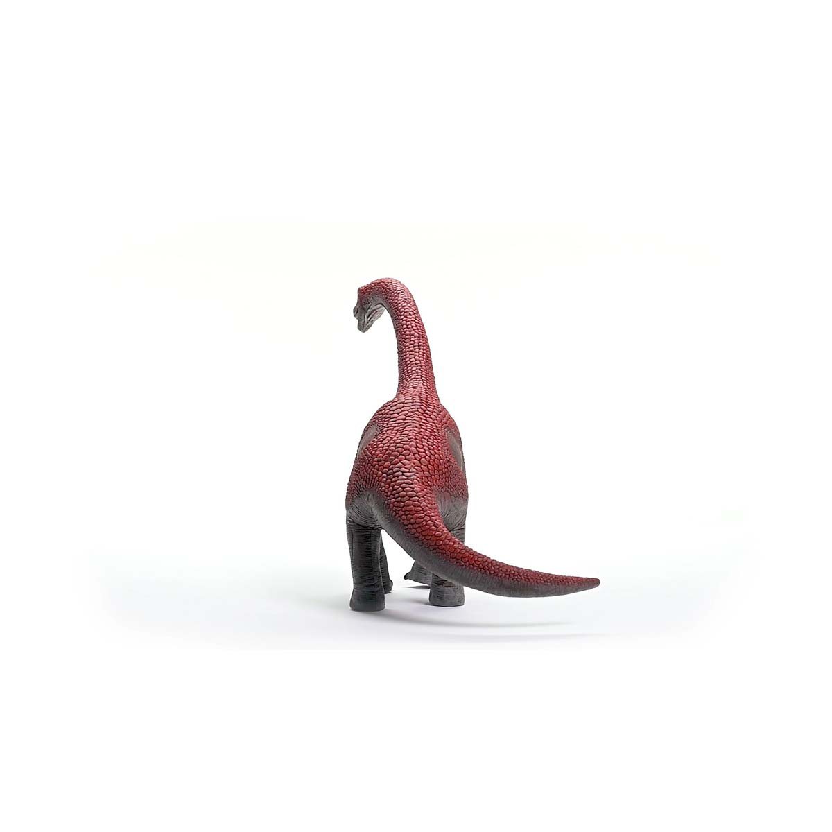 Brachiosaurus