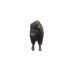 Bison