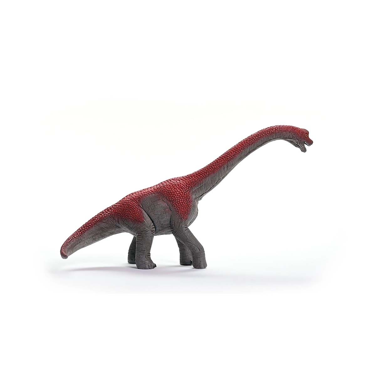 Brachiosaurus
