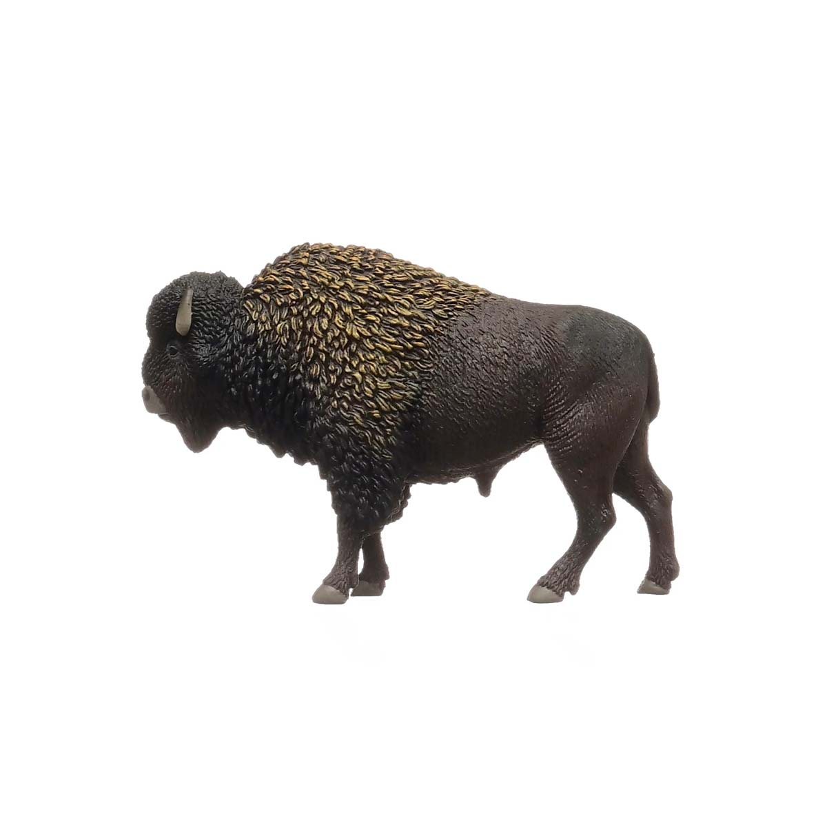 Bison