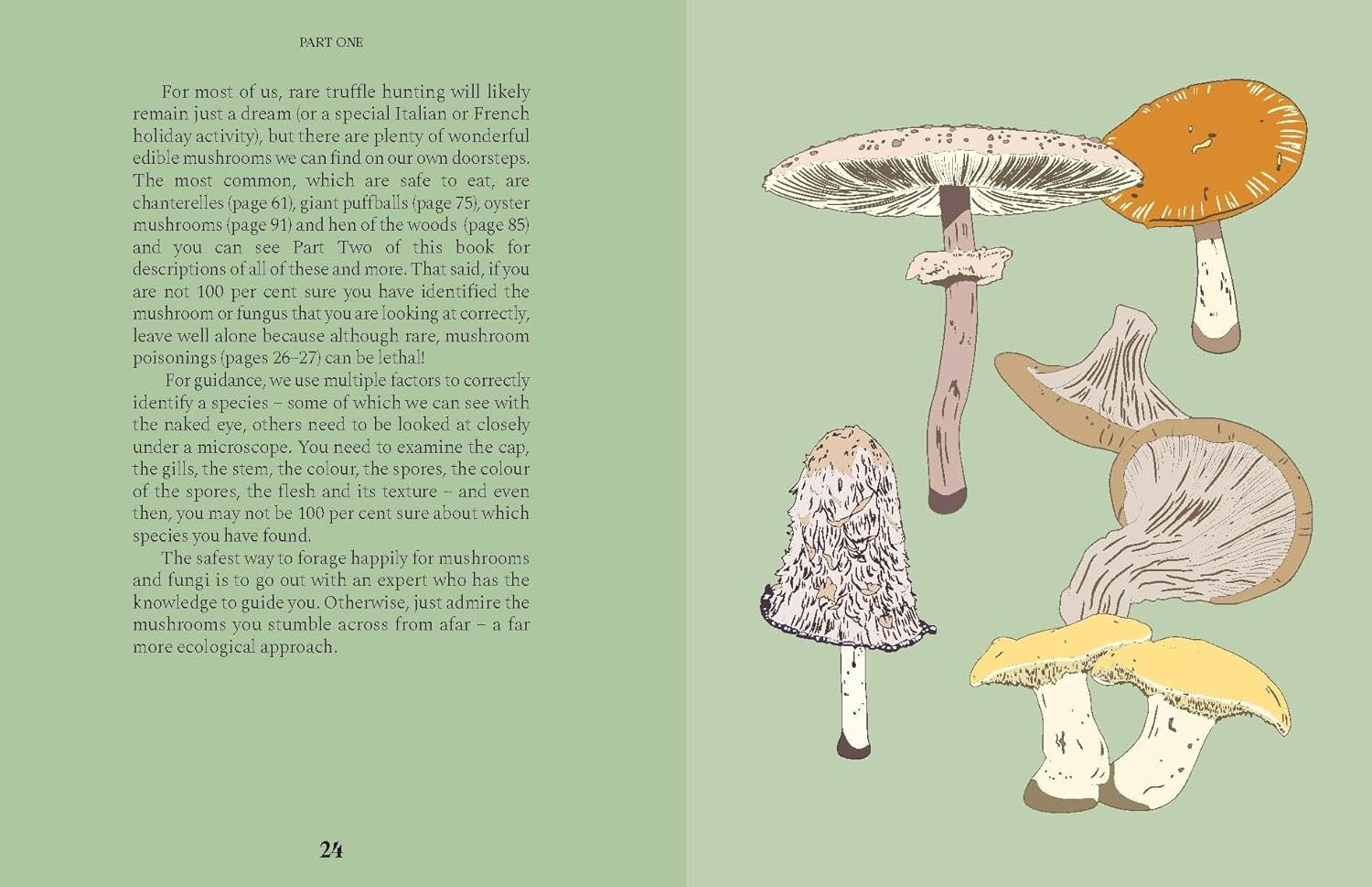 Mushrooms