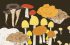 Mushrooms